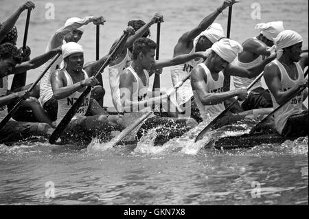 L'image du participant, l'aviron, Snake bateau , bateau de Nehru, le jour de la course, Allaepy Punnamda Lake, le Kerala Inde Banque D'Images