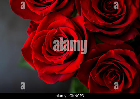 Bouquet de roses rouges sur fond noir. Vue d'en haut Banque D'Images