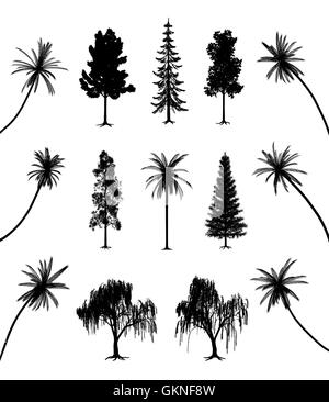 Pin sapin arbre arbres racine silhouette plantes palm leaf seule vie exister en vivant vit vivre Illustration de Vecteur