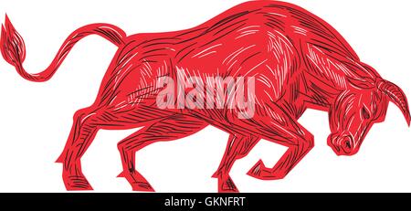 Croquis dessin illustration de style d'un taureau face à la charge d'attaquer depuis le côté isolé sur fond blanc. Illustration de Vecteur