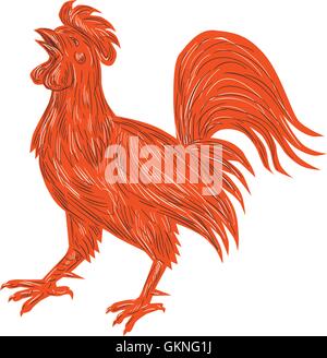 Croquis dessin illustration de style d'un poulet coq qui chantent depuis le côté isolé sur fond blanc. Illustration de Vecteur