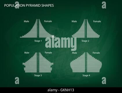 Population et démographie, Illustration Set de 4 types de pyramides des âges ou graphique graphique on Chalkboard Background Illustration de Vecteur