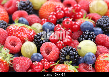 Des fruits à baies collection Fraises, Bleuets Framboises Groseilles rouges Banque D'Images