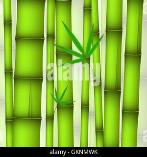 Contexte - les tiges de bambou vert avec des feuilles et des rameaux Illustration de Vecteur