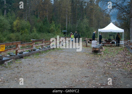 L'observation des ours Anarko plate-forme dans la vallée de Bella Coola Banque D'Images