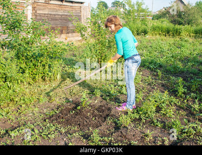 Belle jeune femme en chemisier vert et bleu jeans de pommes de terre à l'aide de germes de désherbage hoes outdoor le jour d'été Banque D'Images