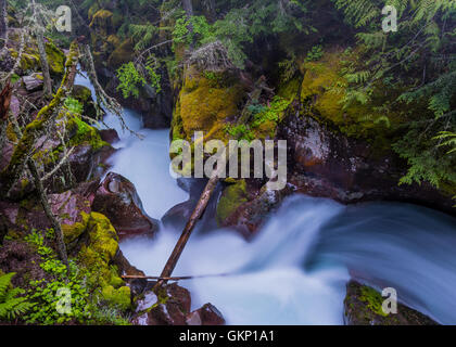 L'eau de fonte des pouvoirs par l'intermédiaire de l'Avalanche de Rock Creek Banque D'Images