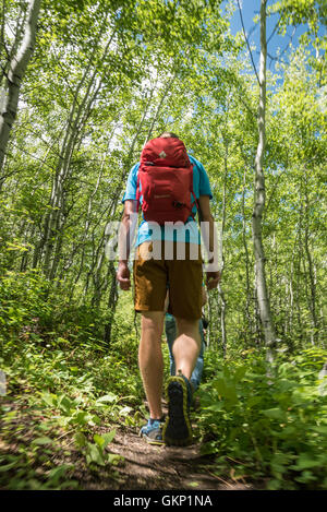 Randonnée sur les palissades sentier dans la forêt nationale de Custer-Gallatin avec guides de montagne Beartooth près de Red Lodge, Montana. Banque D'Images