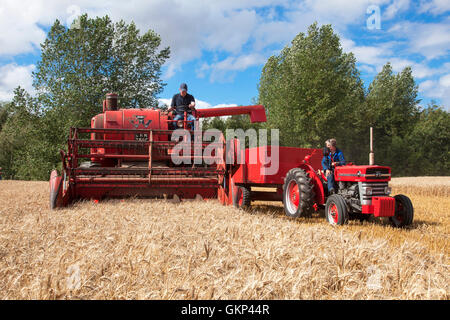 Hoveringham, Dorset, UK. Août 21, 2016, Vintage des moissonneuses-batteuses, tracteurs et autres machines agricoles de yester ans participer à une récolte de l'aide de vintage un teenage cancer charity en mémoire de Limburg adolescent, Rachel Clifford. Rachel, adolescente locale d'Est Bridgford près de Nottingham, perd sa bataille contre le cancer en janvier 2016, quelques semaines après son 18e anniversaire. Au cours de sa maladie, la famille de Rachel occupé nombre d'événements de collecte de fonds qui ont déjà recueilli plus de 17 000 €. Credit : Mark Richardson/Alamy Live News Banque D'Images