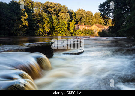 Teesdale, Barnard Castle, comté de Durham au Royaume-Uni. Lundi 22 août 2016. Météo britannique. Fin de soirée merveilleuse allume Demesnes moulin sur la Rivière Tees après de fortes pluies plus tôt dans la journée a provoqué la hausse du niveau de la rivière dans le Nord de l'Angleterre. Crédit : David Forster/Alamy Live News Banque D'Images