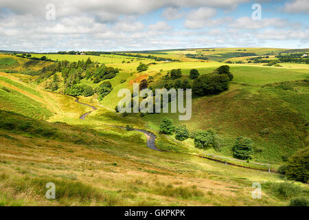 La rivière Barle du haut de la colline de chèvre près de Simonsbath sur Exmoor National Park sur le Somerset et le Devon frontières. Banque D'Images