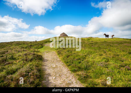 Le chemin menant au sommet de dunkery Beacon, le point le plus haut du parc national d'Exmoor à Somerset Banque D'Images