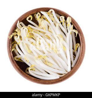 Haricots Mungo dans un bol en bois sur fond blanc. Haricots moong également ou les pois, tout simplement appelé fèves germées. Banque D'Images