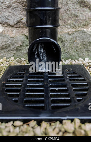 Les eaux s'écoulent d'une descente de gouttière dans un collecteur d'eaux pluviales. Banque D'Images