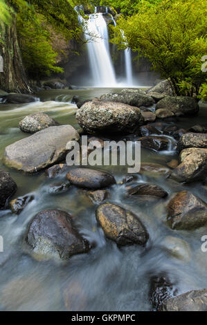 Cascade de beauté hew suwat cascade dans khoa yai national park en Thaïlande Banque D'Images