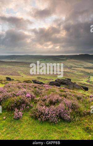 Magnifique paysage de rochers et la lande à l'cafards dans le Peak District, dans le Derbyshire, une magnifique région de gréa Banque D'Images