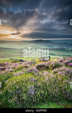 Magnifique paysage de rochers et la lande à l'cafards dans le Peak District, dans le Derbyshire, une magnifique région de gréa Banque D'Images