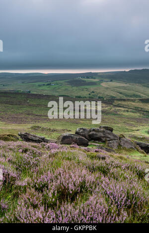 Magnifique paysage de rochers et la lande à l'cafards dans le Peak District, dans le Derbyshire, une magnifique région de gréa Banque D'Images