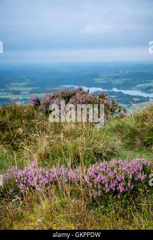 Magnifique paysage de rochers et la lande à l'cafards dans le Peak District, dans le Derbyshire, une magnifique région de gréa Banque D'Images