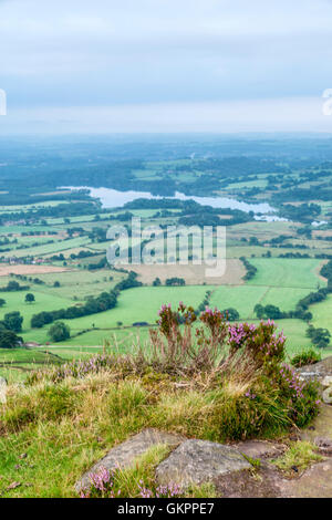 Magnifique paysage de rochers et la lande à l'cafards dans le Peak District, dans le Derbyshire, une magnifique région de gréa Banque D'Images