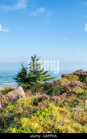 Magnifique paysage de rochers et la lande à l'cafards dans le Peak District, dans le Derbyshire, une magnifique région de gréa Banque D'Images