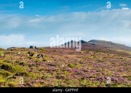 Magnifique paysage de rochers et la lande à l'cafards dans le Peak District, dans le Derbyshire, une magnifique région de gréa Banque D'Images