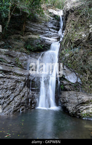 Cascade dans le Parc National de Minnamurra, cascades à pied, New South Wales, NSW, Australie Banque D'Images
