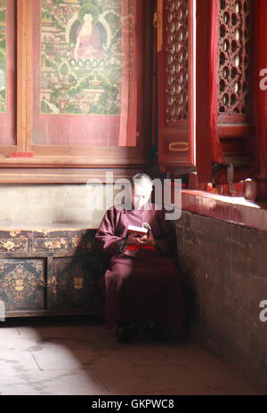 Moine chinois lit un livre au Temple des Lamas à Beijing en Chine. Banque D'Images