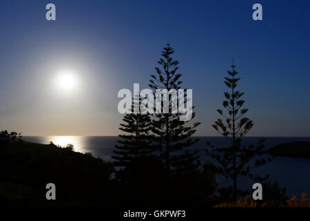 Pleine Lune dans un ciel clair, New South Wales, NSW, Australie Banque D'Images