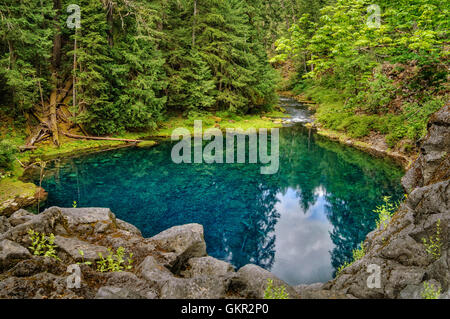 Tamolitch, piscine extérieure, Bleu AKA sur la rivière McKenzie, de l'Oregon. Banque D'Images