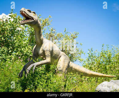 Une réplique d'un modèle de Yangchuanosaurus, un genre de dinosaure théropode, metriacanthosaurid au Zoo de Calgary, Canada. Banque D'Images