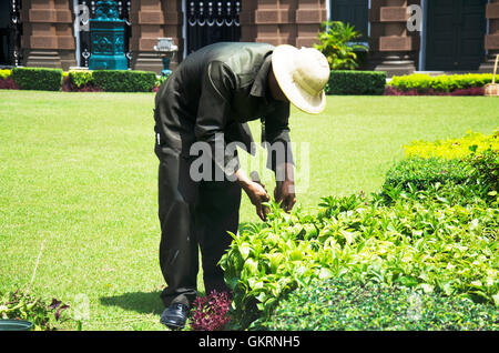 Thai hommes travaillent le jardinage et l'enlèvement de l'arbre du jardin de grand palais à Wat Phra Kaew Temple du Bouddha Émeraude ou Wat Phr Banque D'Images