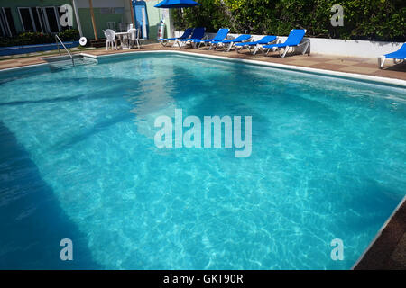 Une piscine extérieure avec chaises longues bleu et l'ombre d'un palmier au Dover Beach Hotel, St Lawrence Gap, Christ Church, Barbade Banque D'Images