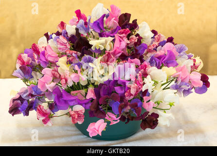 Arrangement de fleurs de pois sucré Banque D'Images