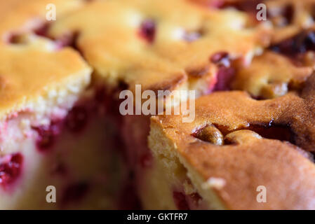 Gâteau aux fruits Groseille Banque D'Images