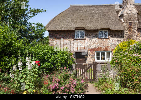 Une chaumière traditionnelle à côté de la voie dans le village d'Bossington d'Exmoor, Somerset UK Banque D'Images