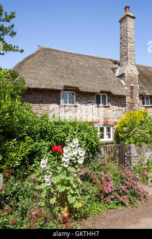 Chaumières traditionnelles à côté de la voie dans le village d'Bossington d'Exmoor, Somerset UK Banque D'Images