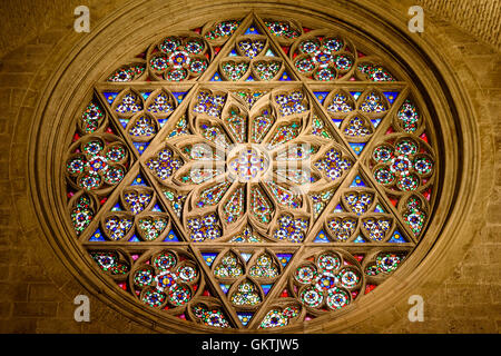 Vitraux circulaires en verre Fenêtre Cathédrale Banque D'Images