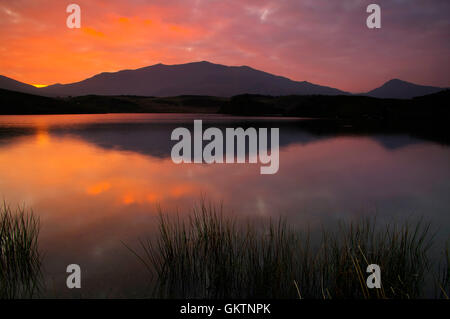 Llyn y Diwarchen at Sunrise, North Wales, Royaume-Uni. Banque D'Images