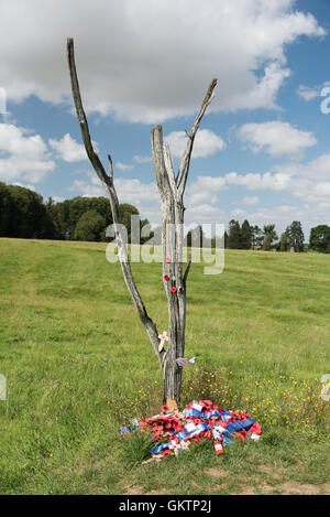 The danger tree à Beaumont-hamel memorial Somme France Banque D'Images