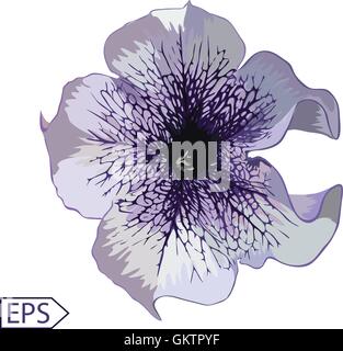 Conception de carte fleurs. Vector illustration. Illustration de Vecteur