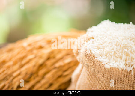 Riz blanc en sac de jute avec des grains de riz Banque D'Images