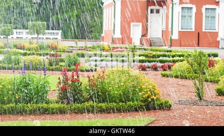 Jour de pluie dans le parc de l'Estonie Banque D'Images