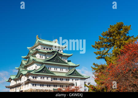 Nagoya, Japon au château au cours de l'automne. Banque D'Images