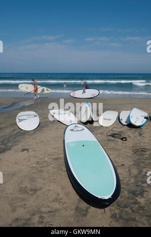 Location de planches. Sayulita, Riviera Nayarit, Mexique. Banque D'Images