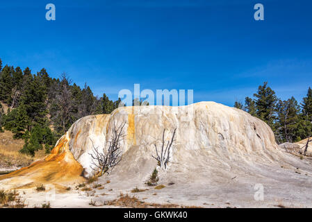 Vue de la Sauvez la formation à Mammoth Hot Springs dans le Parc National de Yellowstone Banque D'Images