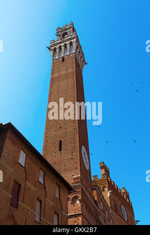 Torre del Magnia dans la vieille ville historique de Sienne, Toscane, Italie Banque D'Images