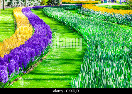Parc floral de Keukenhof célèbre belle en Hollande Banque D'Images