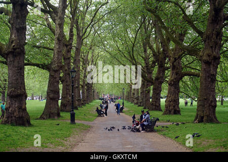 Des gens assis sur des bancs pigeons alimentation dans Green Park, Londres Banque D'Images
