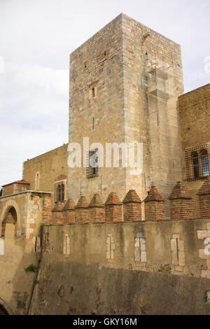 Palais des Rois de Majorque à Perpignan, France Banque D'Images